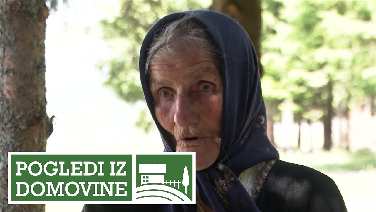 POGLEDI IZ DOMOVINE - Priča iz Bliškova