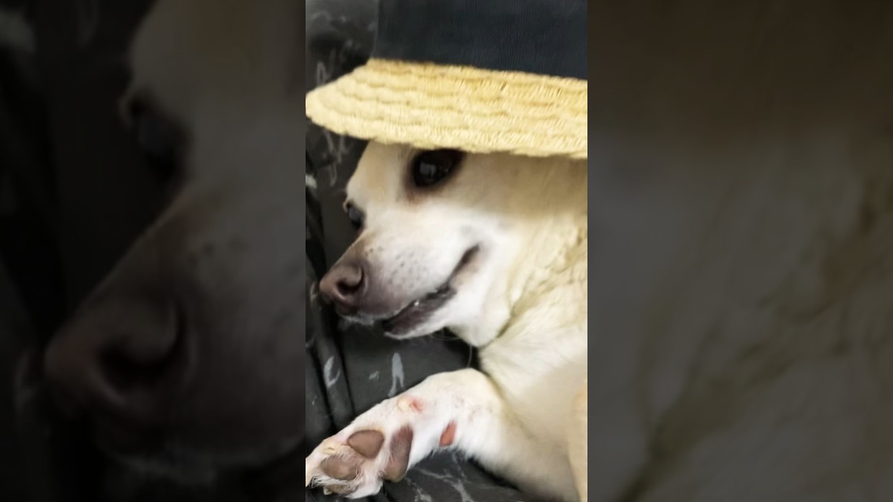 famous for loving you🥹🥰 YouTube