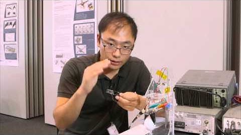 A new versatile gripper