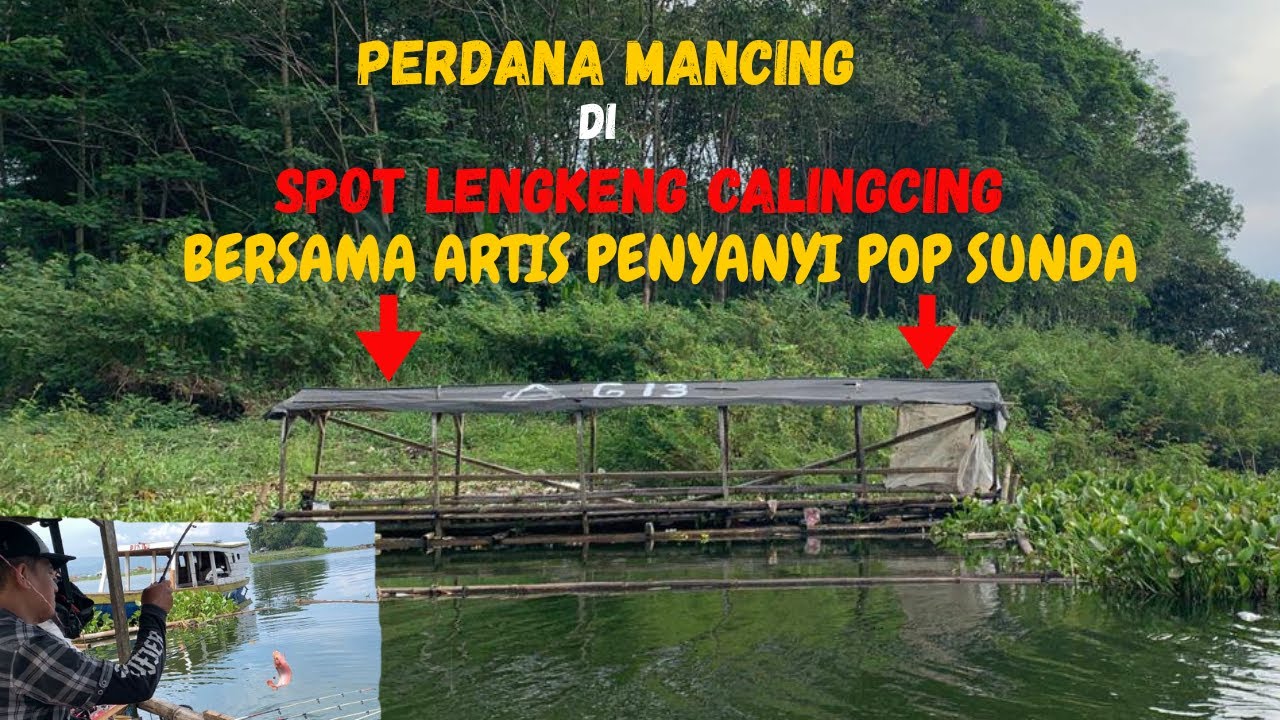 MANCING BERMALAM DI SPOT LENGKENG CALINGCING , MANCING CIRATA HARI INI
