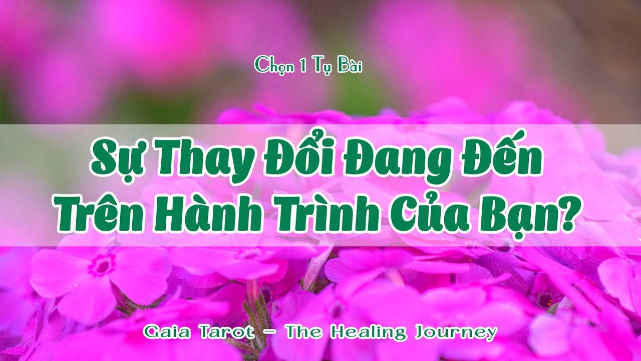 Sự Thay Đổi Đang Đến Trên Hành Trình Của Bạn?