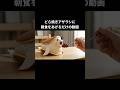 どら焼きアザラシがいる暮らし #shorts