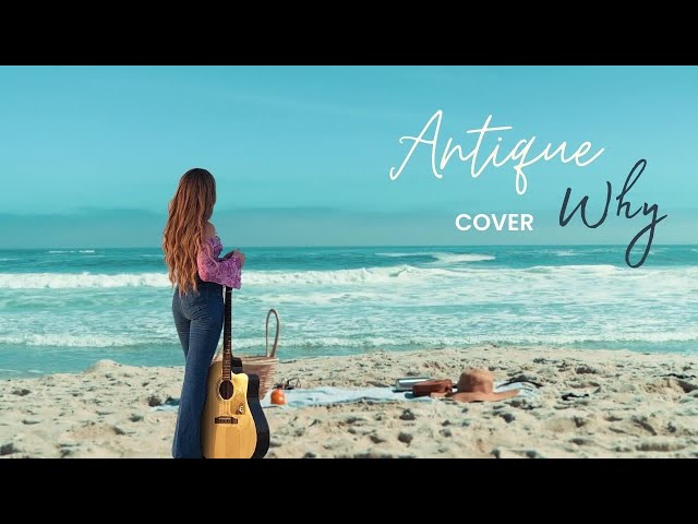 Antique - Why . cover (Romantic song from 2000) class=