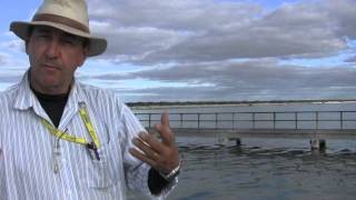 Hamlin Pool - Structures