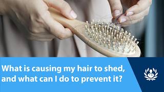 What is causing my hair to shed, and what can I do to prevent it?