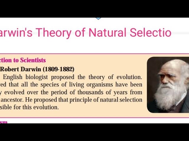 Natural Selection: Survival of the Fittest – Sprouts – Learning Videos –  Social Sciences