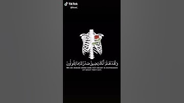 راحه النفسية القران الكريم اسمع❤❤