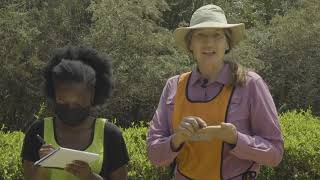AfricaArray Field School - Gravity