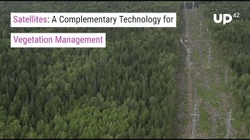 Satellites: A Complementary Technology for Vegetation Management Now and Into the Future