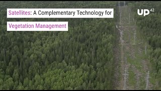 Satellites: A Complementary Technology for Vegetation Management Now and Into the Future