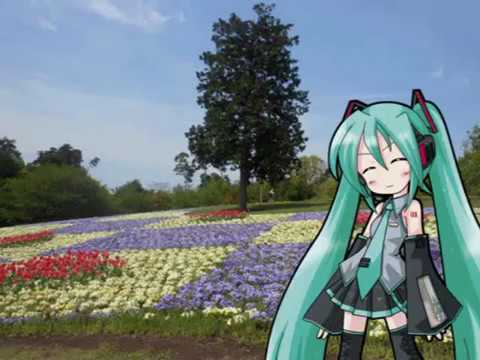 【初音ミク　アペンド　solid】アニメ「きんぎょ注意報」より　わぴこ元気予報