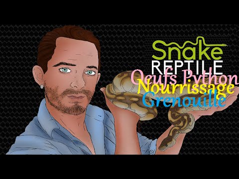snake reptiles pictures Oeuf de serpent, nourrissage grenouille et boa
