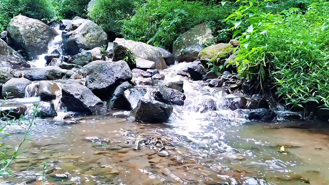 Gentle River Water for Calm Sleep