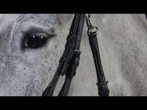 How to assemble a GFS Premier bridle