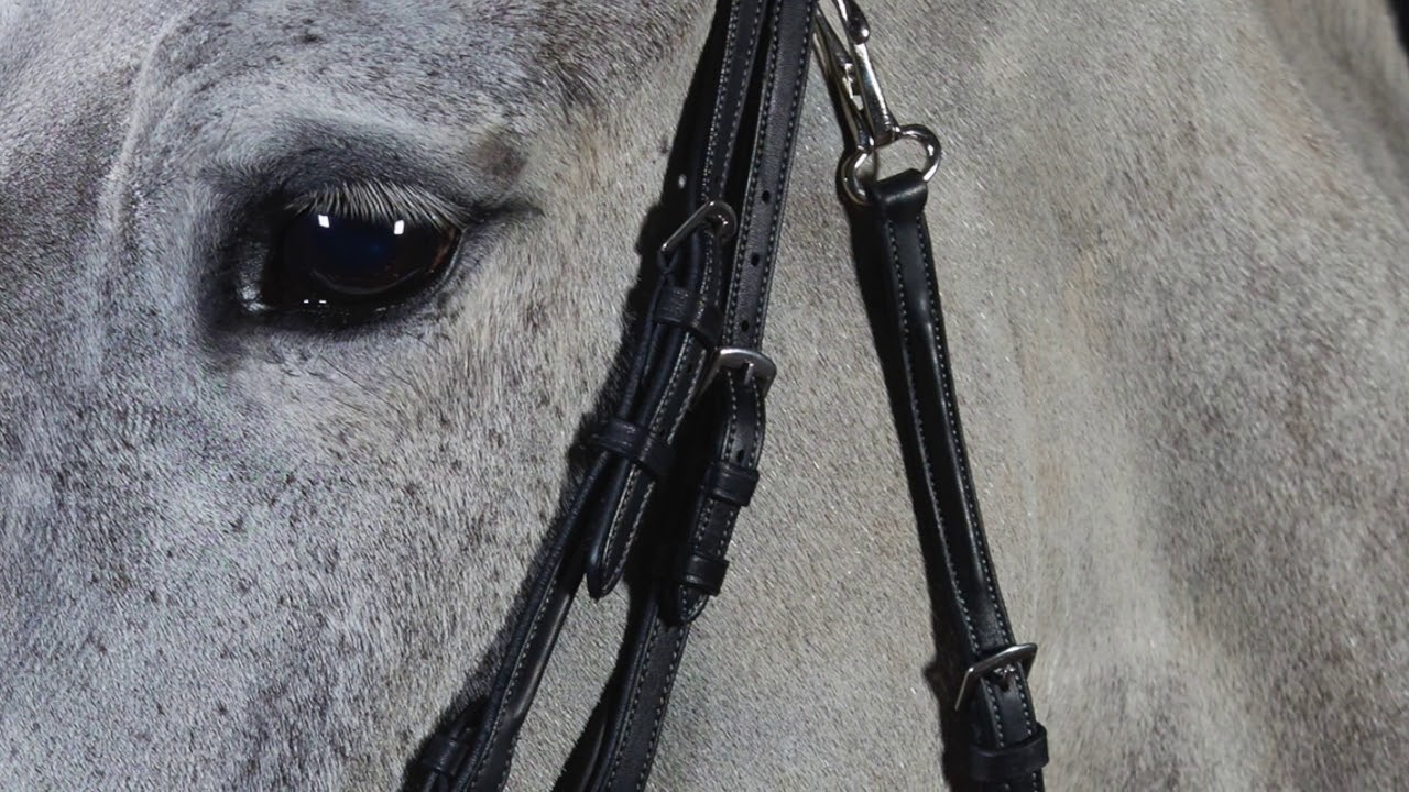 How to assemble a GFS Premier bridle YouTube