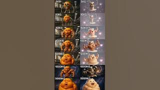 UDIN DIN DIN DUN & BALLERINO LOROLO KG EVOLUTION SINGING