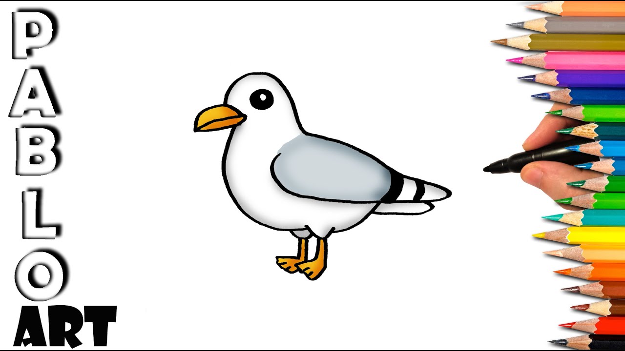 How to draw Seagull cartoon | Learn to Draw step by step