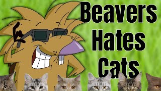 Beavers Hates Cats!!! @XylieGetsReal