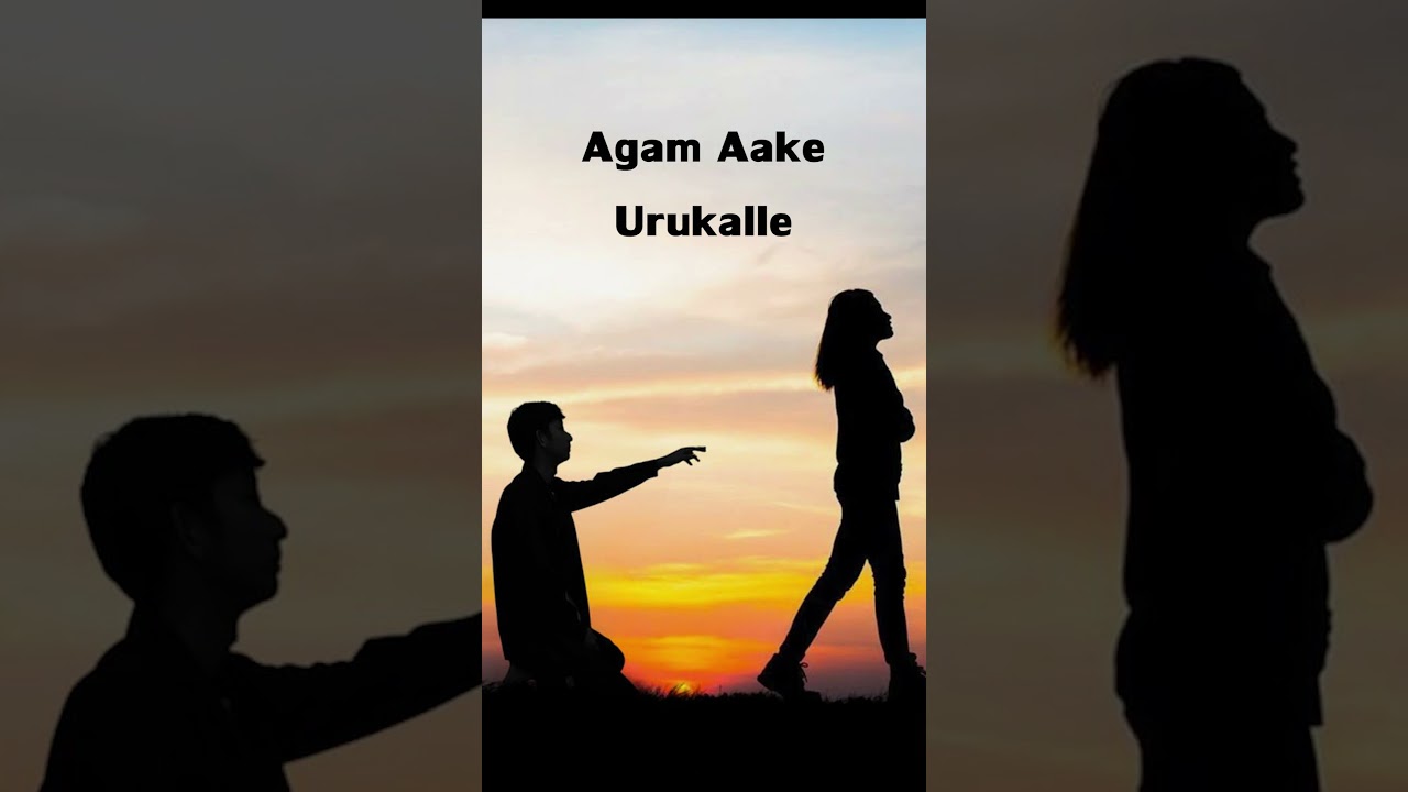 thammil pinagi povalle song with lyrics  #love #emotional #friends #family