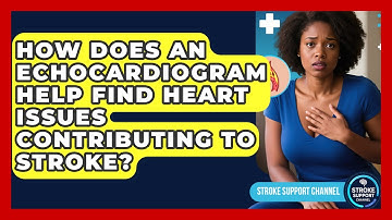 How Does An Echocardiogram Help Find Heart Issues Contributing To Stroke? - Stroke Support Channel