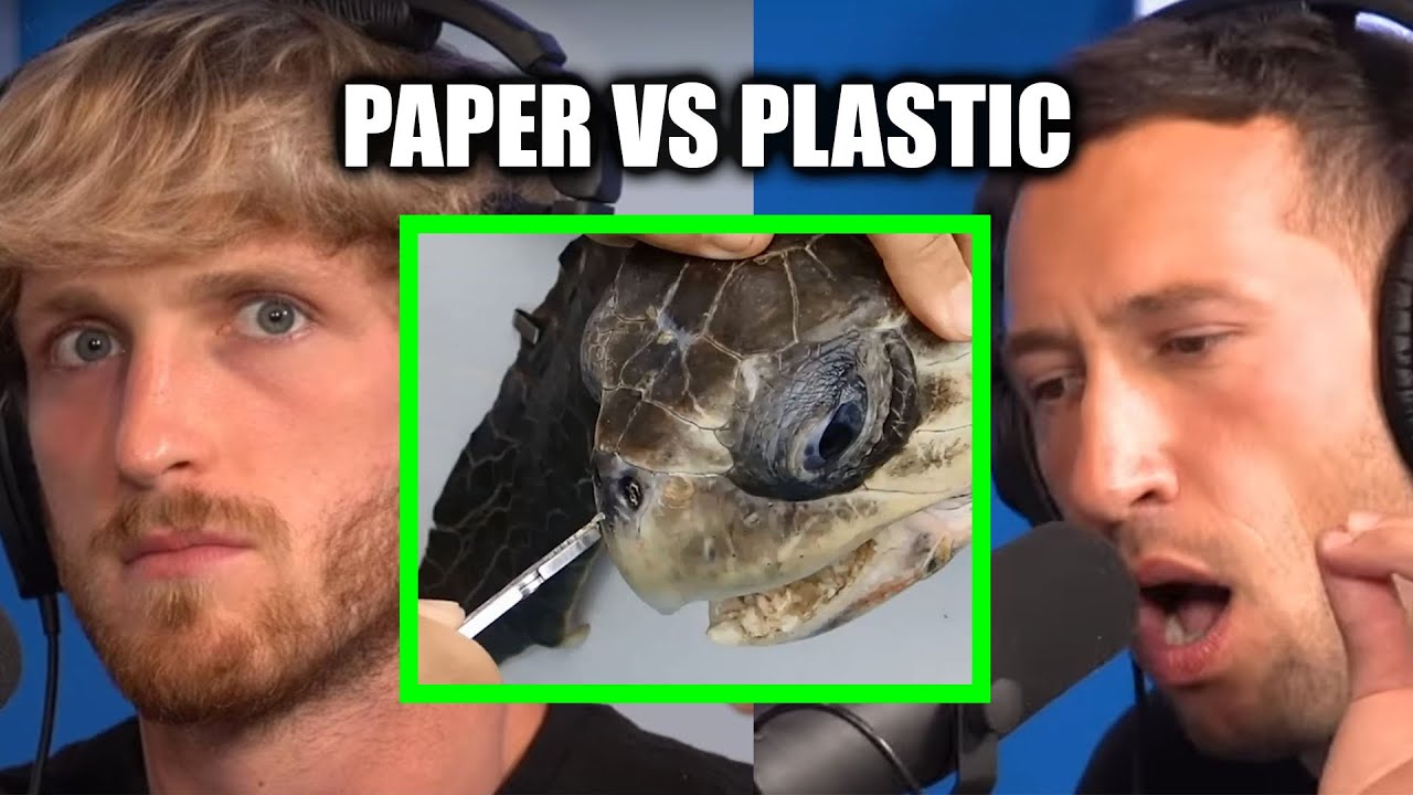 THE TRUTH ABOUT PAPER VS PLASTIC STRAWS YouTube