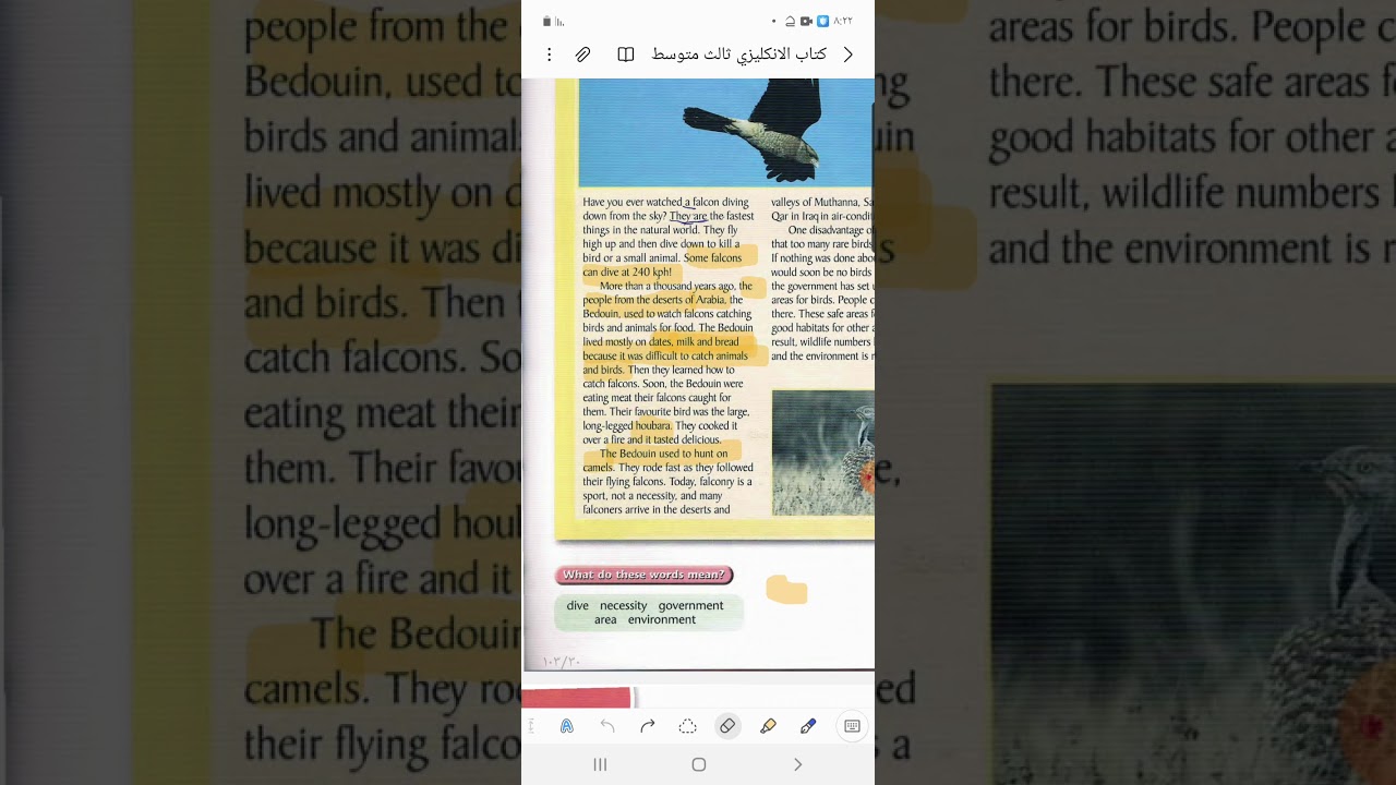 The fastest living things