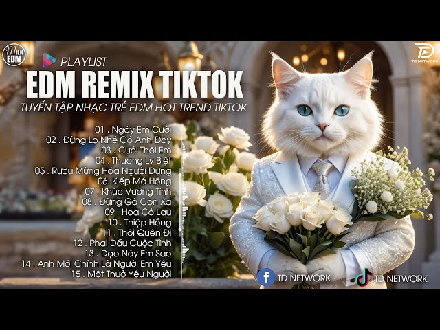 Ngày Em Cưới Remix - BXH Nhạc Trẻ Hay Nhất Hiện Nay - Top 15 Bản EDM TikTok Hot Trend 2024 class=