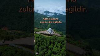 Kuran Meali Fussilet 46