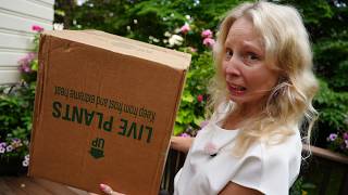 Garden Crossings Unboxing of Perennials Garden Crossings Unboxing of Perennials