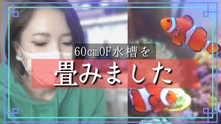 60cmオーバーフロー水槽を畳む❗️さらばクマノミ水槽【海水魚水槽】❗️my coral aquarium MOAMOAちゃんねる