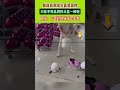 制造商測試頭盔堅固性，對著不同品牌的頭盔壹頓砸，網友:下面的地磚才是王者！