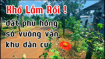 LÂM CẢNH KHỔ ! chị hạnh đành bán bớt đất vườn phủ hồng để trang trải nợ nần ở bà rịa vũng tàu