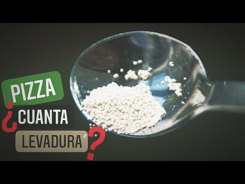 Cuanta levadura seca usar para hacer pizzas en casa ¿Cómo medir un gramo de levadura sin báscula?