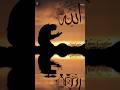Ya Allah 👐🏻🕋.                      #Subhan allah # @Zaid-786f