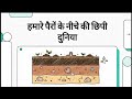Soil Profile in Hindi | A, B, C, O Horizons Diagram with Easy Explanation| Soil Science Lecture