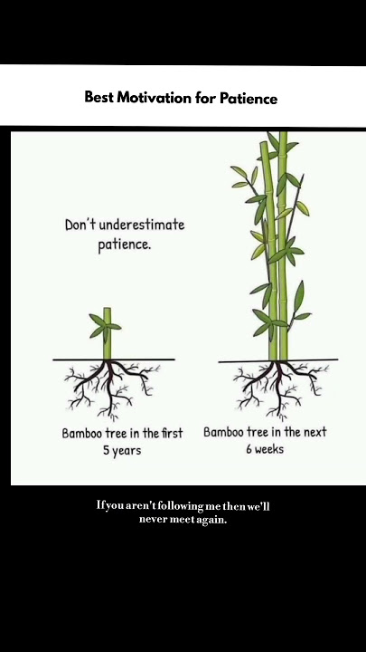 best motivation for patience #motivation