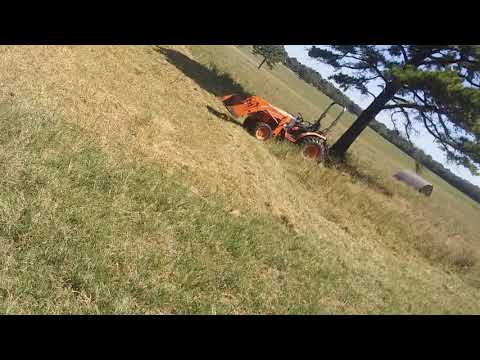 When bumble bees attack *EXPLICIT LANGUAGE*