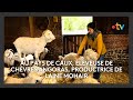 Ref:F2abwxU6Kkw Du mohair  made in Normandie  produit gr�ce � un �levage de ch�vres angora