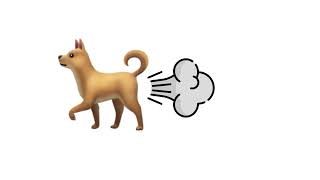 Dog Fart