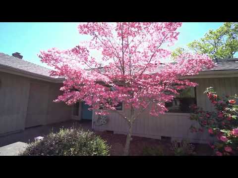 805 E Pebble Beach Dr, Ashland, OR home video tour