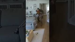 Viking Breaks Into House