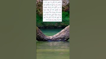 #سورة_الضحى #ياسر_الدوسري #yasseraldossary #راحة_نفسية #قرآن_كريم #alquran #اكسبلور #رمضان