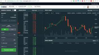 GDAX Tutorial screenshot 5