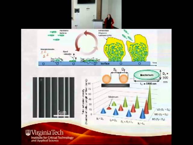 Novel Electrode Design to Increase Power Generation in Microbial Fuel Cells