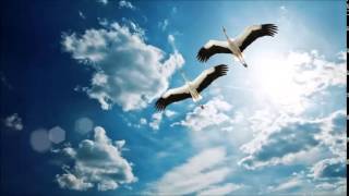 uysal sezer remix kibil anka boral flying