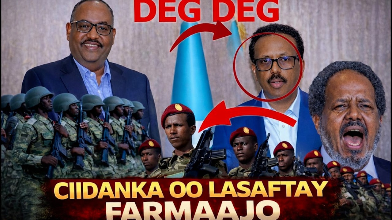 DEG DEG:-MADAXWEYNE FARMAAJO IYO DENI OO GAARAY HESHIIS QARSOODI AH MAXAA LAGAA QARIYAY..SEEMORE....