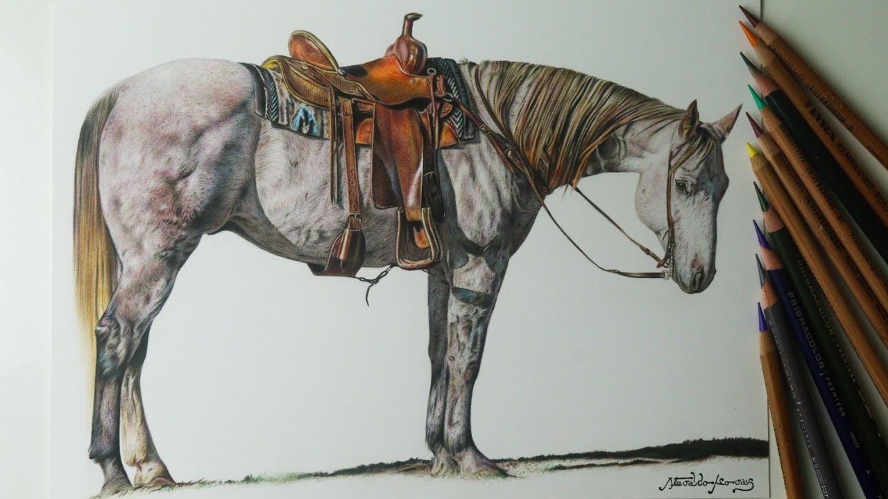 Como Desenhar Um CAVALO QUARTO DE MILHA YouTube como-desenhar-um-cavalo-quarto-de-milha-youtube