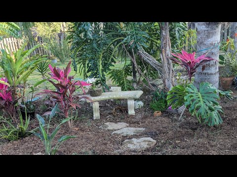 Cleaning up my island to create a beautiful relaxation/prayer garden