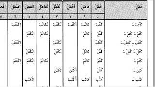 Sarf in Practice Course 1 (Ibtidaiyyah Level) Week 3