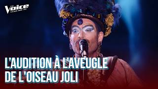 "He Played the Piano Standing Up" by France Gall | The Pretty Bird | The Voice 2026 | Blind Audit...